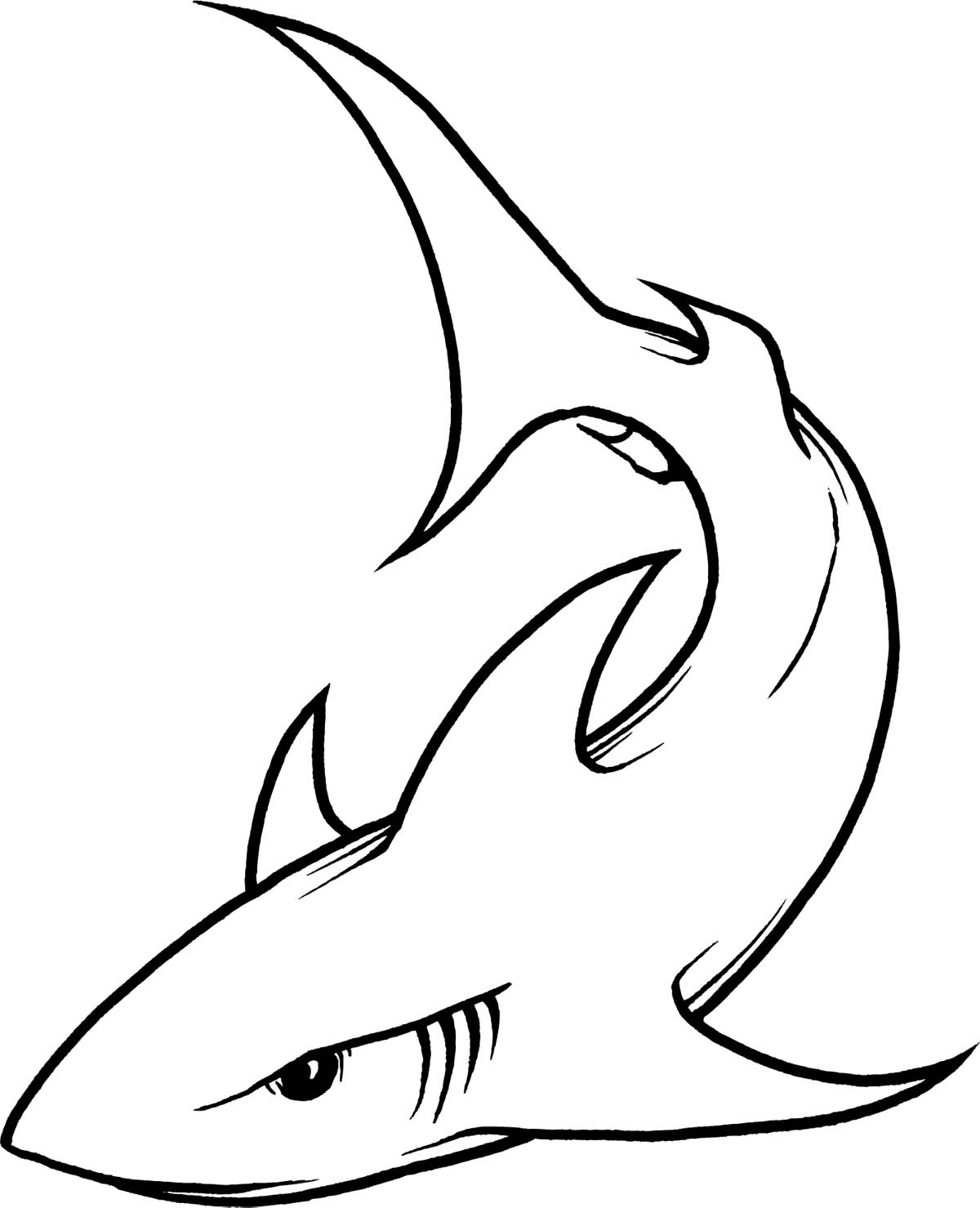 Tiger Shark Outline - ClipArt Best