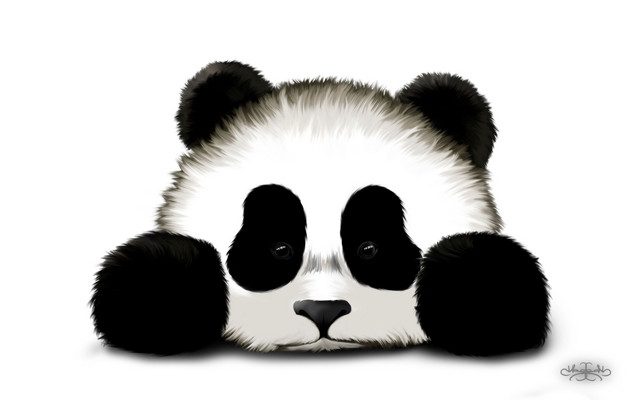 Cute Panda Drawing - Gallery