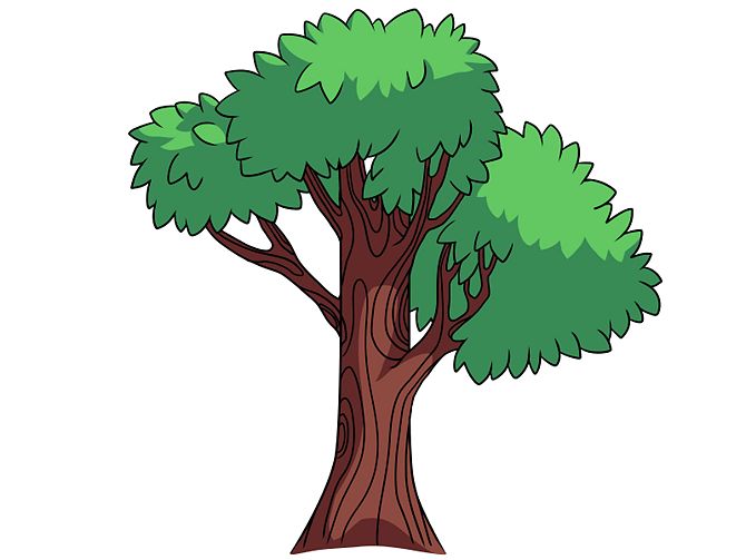 How to Draw a Simple Tree: 11 Steps (with Pictures) - wikiHow