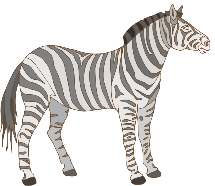 Free Zebra Clipart