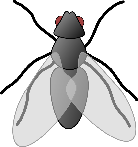 Fly2 clip art - vector clip art online, royalty free & public domain