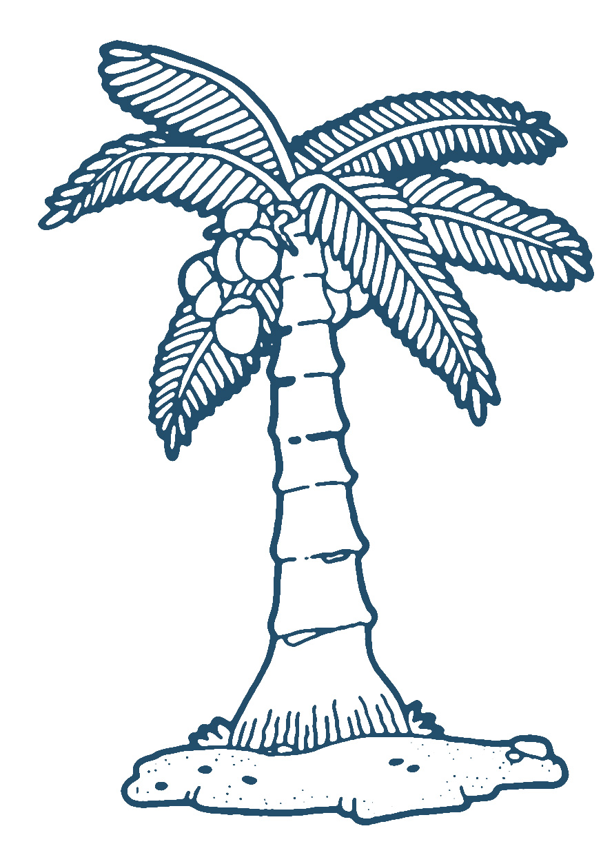 Coconut Tree Clip Art Coconut Tree Free Cliparts | School Clipart