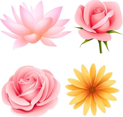 Outlines of Flowers Vector flower - Free vector for free download