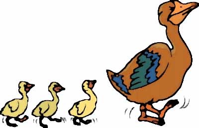 Duck With Ducklings Clip Art