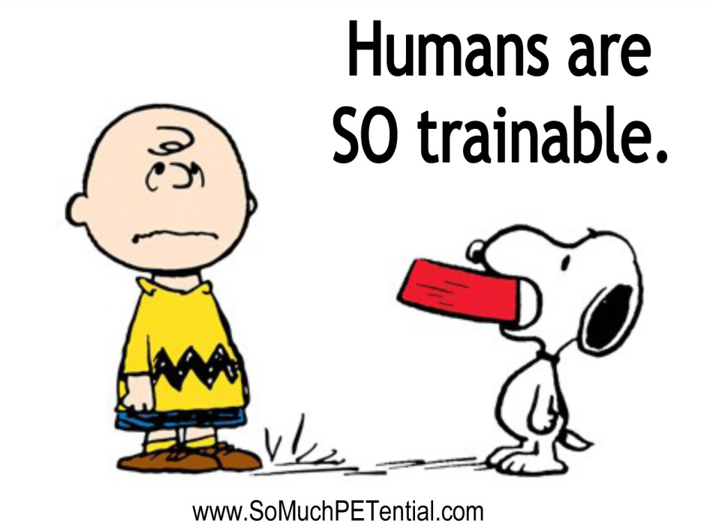 Pet Behavior | So Much Petential Cincinnati Dog Training