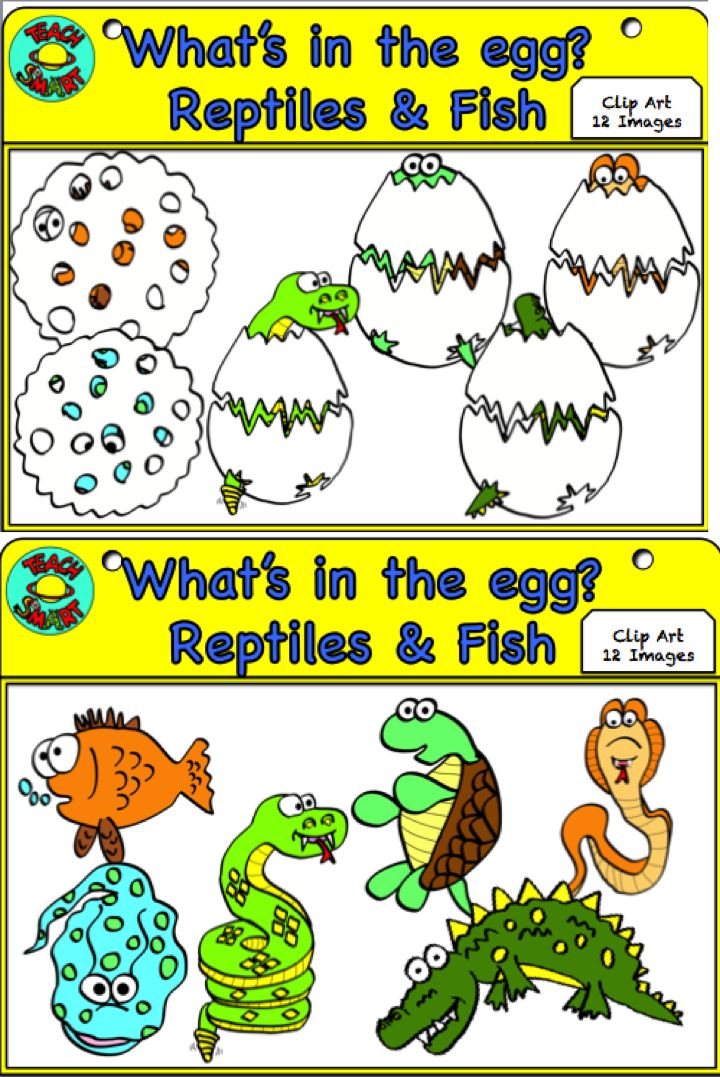 What's in the egg? Vertebrates Clip Art