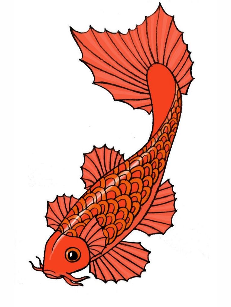 How to Draw a Koi Fish