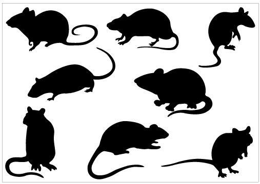 Rat Clip Art Free | Clipart Panda - Free Clipart Images