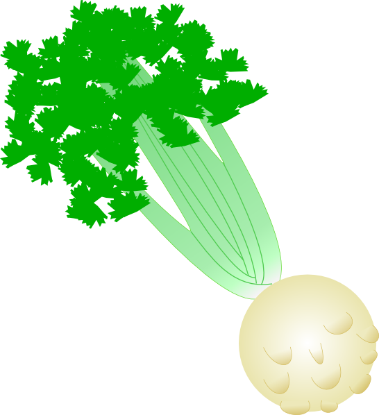 Celery clip art - vector clip art online, royalty free & public domain