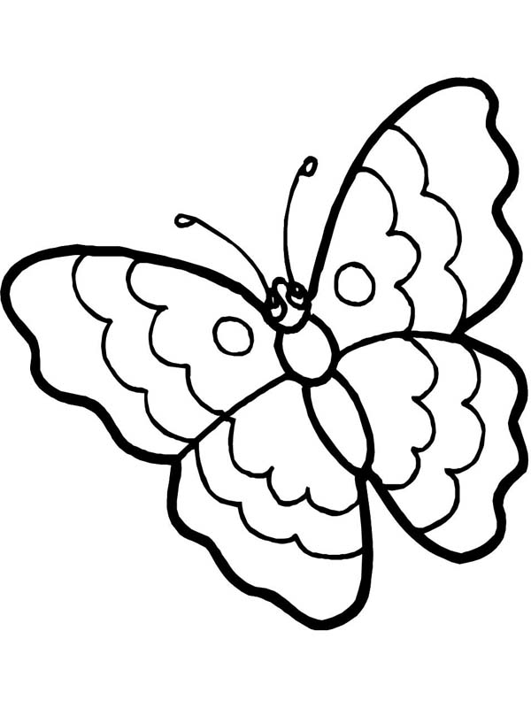 Cartoon Butterfly in Sad Eyes Coloring Page - Download & Print ...