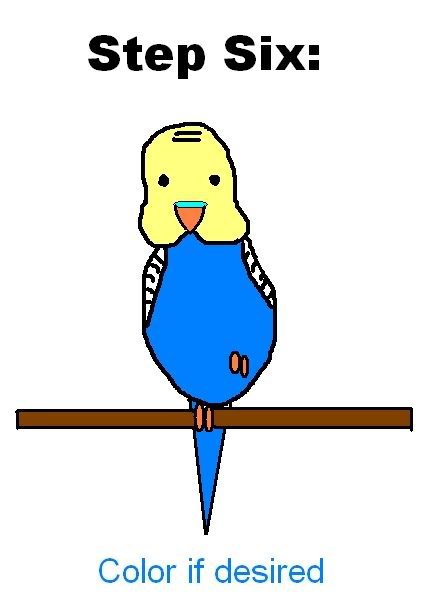 Six Steps 2 Drawing BUDGIES - Talk Budgies Forums