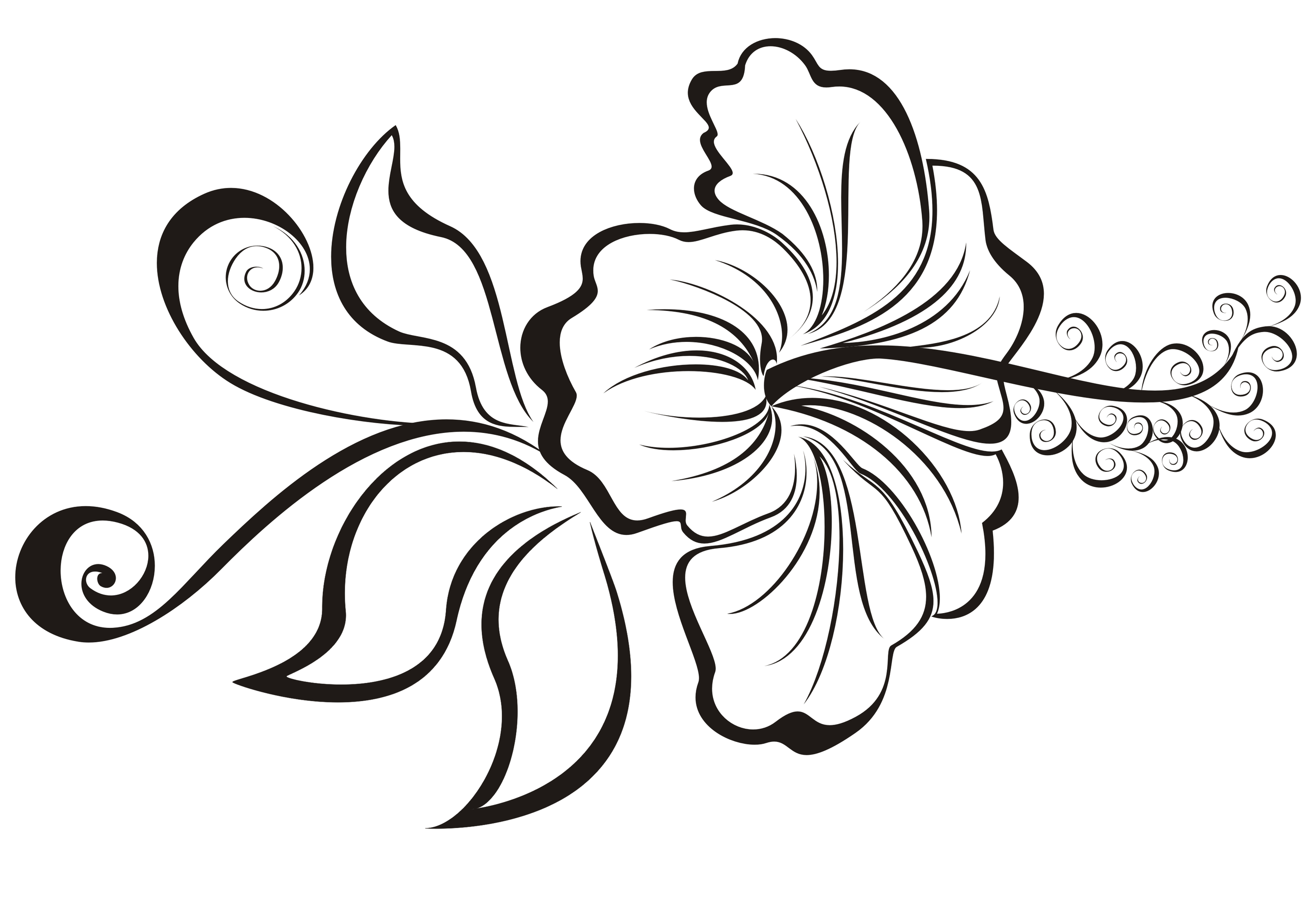 Hibiscus Flower Tattoo Designs and Meaning