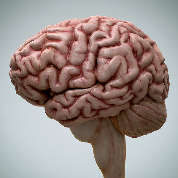 Want To Hack Into A Human Brain? Find Out How! - Full Fit Sure