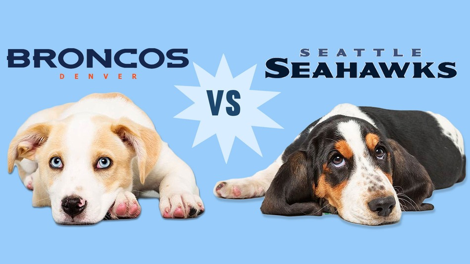 PUPPY-BOWL-SHOWDOWN.jpg
