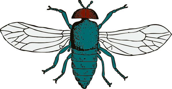 Fly Clipart | Clipart Panda - Free Clipart Images