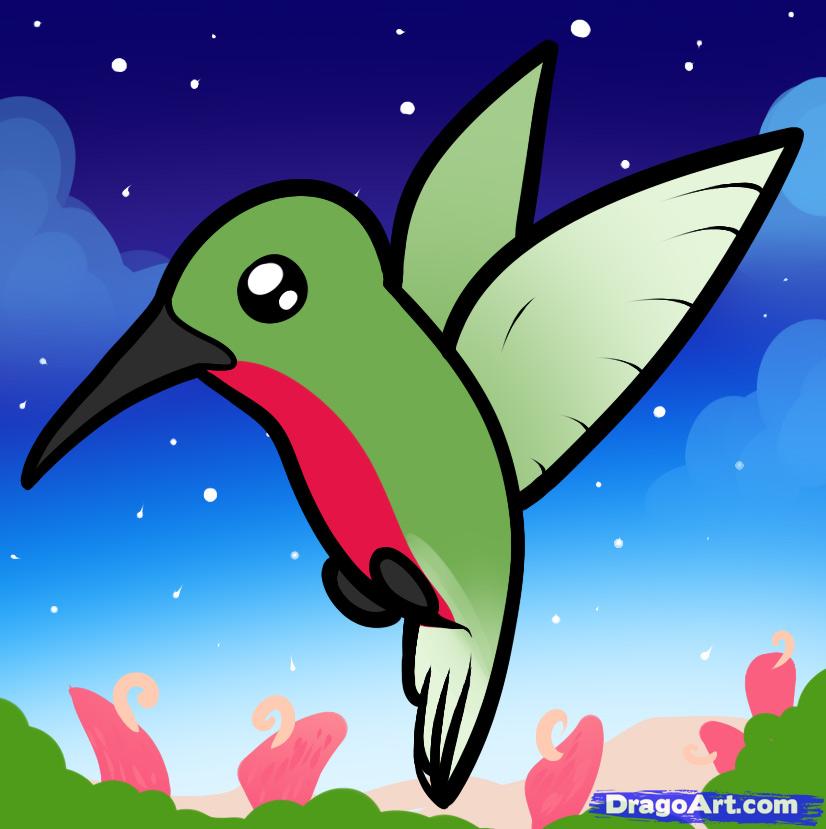 How to Draw a Hummingbird for Kids, Step by Step, Animals For Kids ...