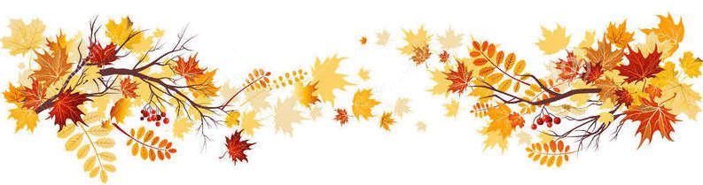 10 | November | 2014 | It Is What It Is