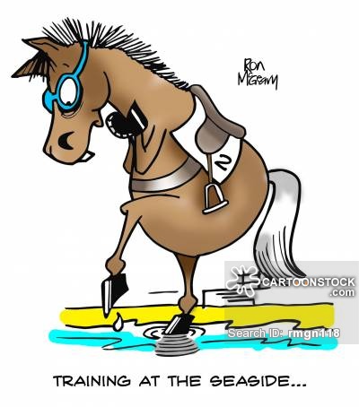 Horse Training Cartoons and Comics - funny pictures from CartoonStock