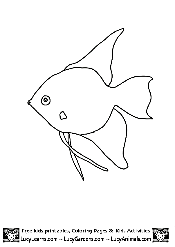 Daycare ideas on Pinterest | Fish Template, Templates and Coloring ...