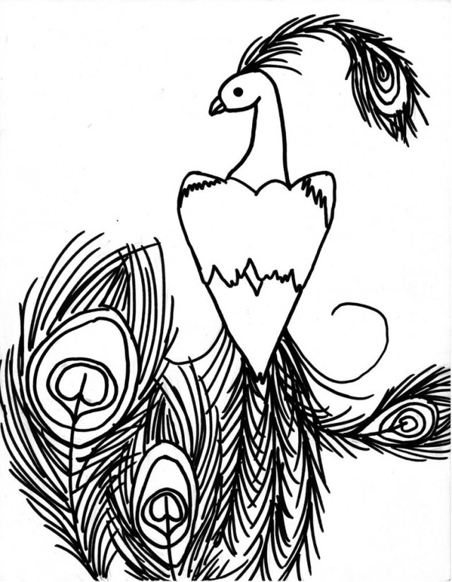 Peacock Drawings ClipArt Best 142681 Peacock Coloring Pages