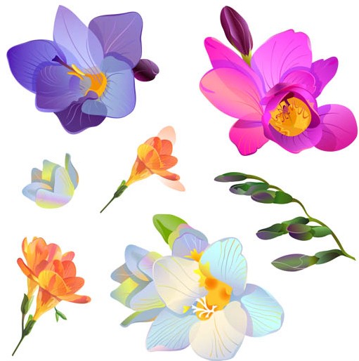 Flowers Vector Graphic Flower Vector Free Download - Cliparts.co