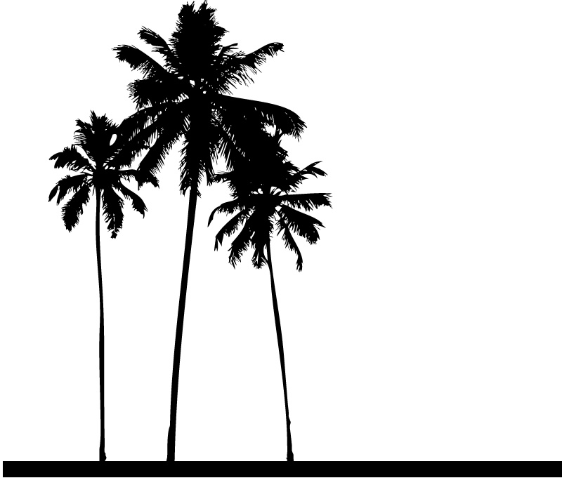 Palm Trees Drawings - Cliparts.co