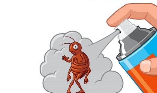 Researchers: Cockroaches Linked to Kids' Asthma | CrownHeights ...