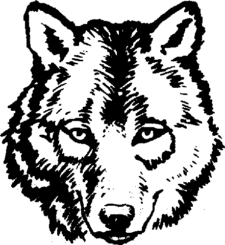 Wolf Head Outline - Cliparts.co