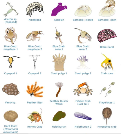 Another Limited Rebellion: Free Science Art