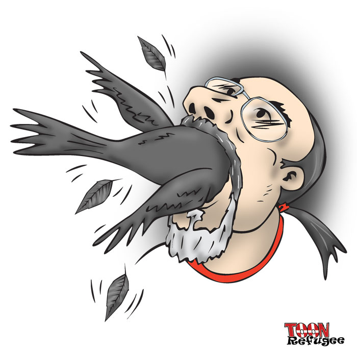 Cardinal Fan Eats Crow — TOONrefugee: Cartoon Blog