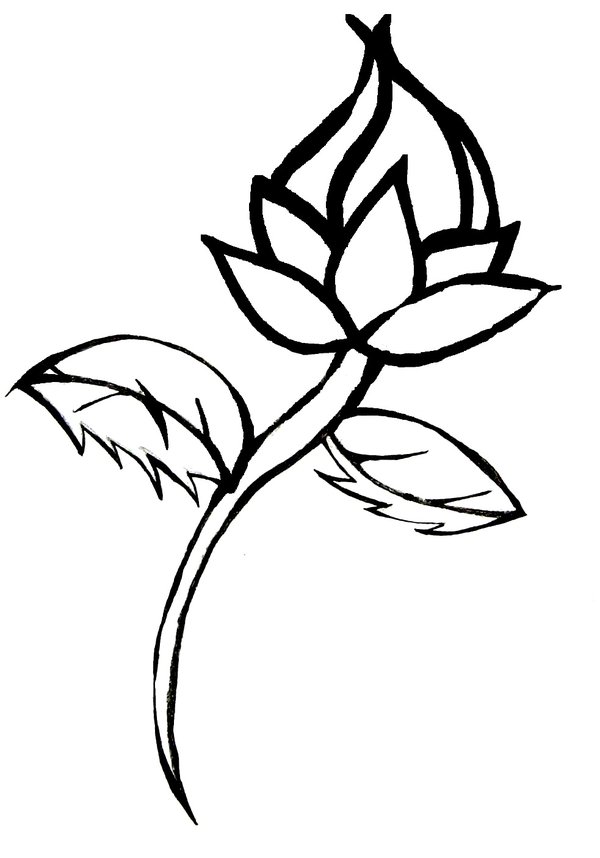 DeviantArt: More Artists Like Rose Lineart by Lelyanra