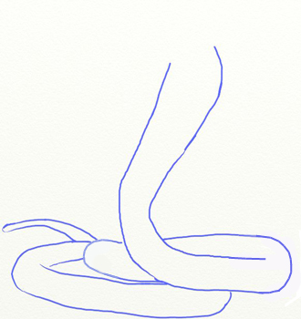 How to Draw a King Cobra Snake - Draw Step by Step