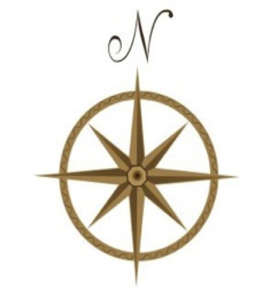 Journeys into the Integral North - Integral Leadership Review