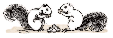 Free Two Squirrels Clipart, 1 page of Public Domain Clip Art