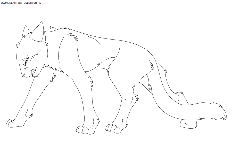 Cat lineart favourites by Amberelle51 on DeviantArt