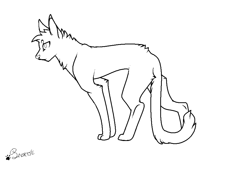 Cat Lineart - Cliparts.co