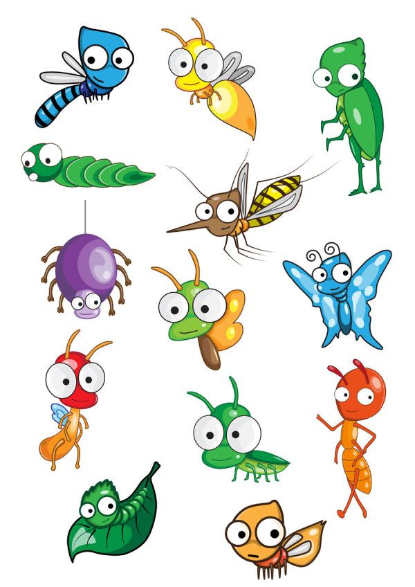 Insect Vector Cartoon Animals | tekenen | Pinterest