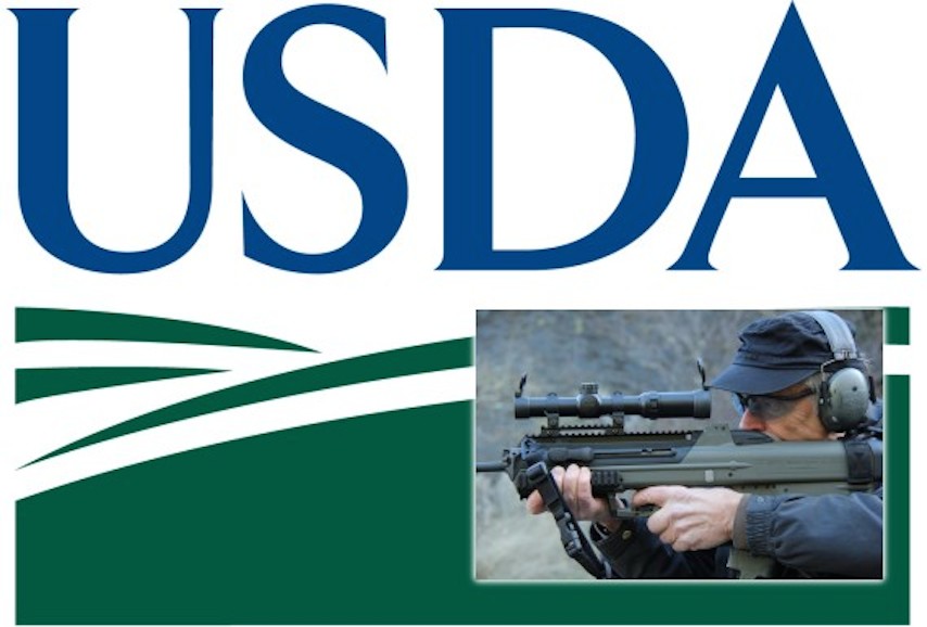 Remember last year's unusual gov't gun purchases? They're back ...