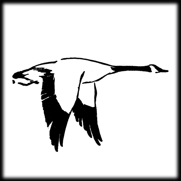 Duck Hunting Clipart | Clipart Panda - Free Clipart Images