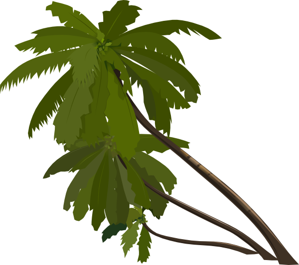 Rainforest Trees Clipart | Clipart Panda - Free Clipart Images