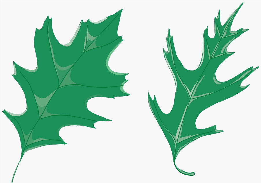Ecology