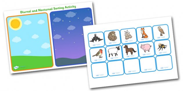 Nocturnal and Diurnal Animals Sorting Activity - sorting
