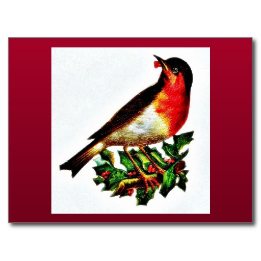 Chirstmas Postcards & Postcard Template Designs