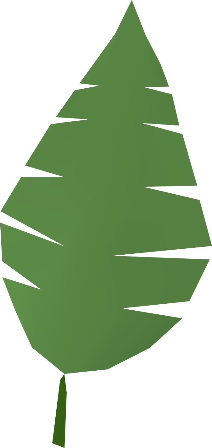Tree Leaf Png Images & Pictures - Becuo