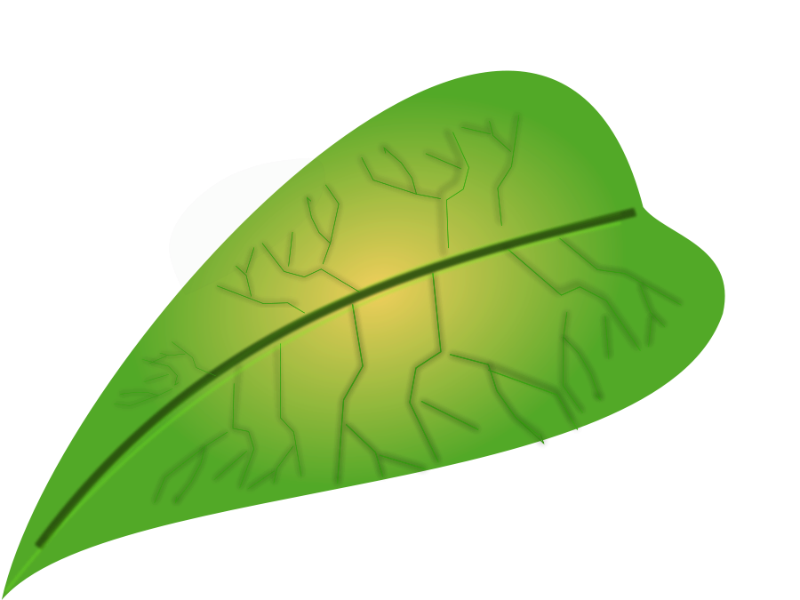 Green leaf SVG Vector file, vector clip art svg file