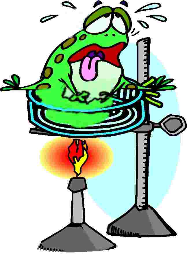 boiledfrog.jpg