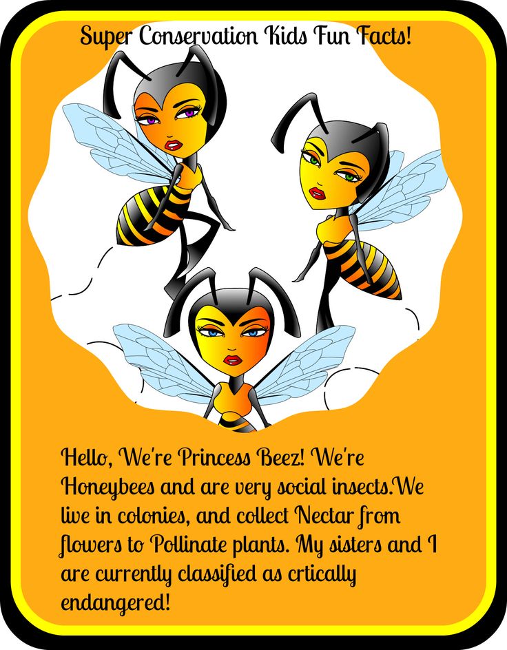 In recognition of World Honeybee Day! | Super Conservation Kids Fun F…