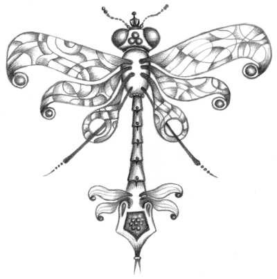 ezra nevels: Dragonfly 1