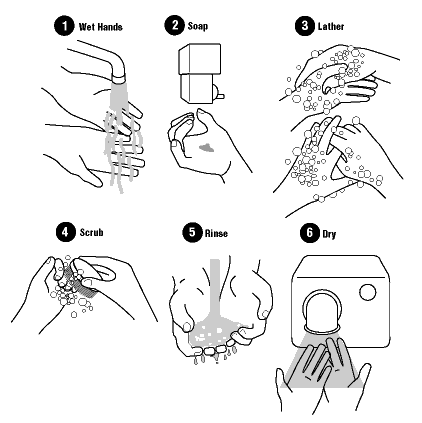 Hand Washing: Reducing the Risk of Common Infections : OSH Answers