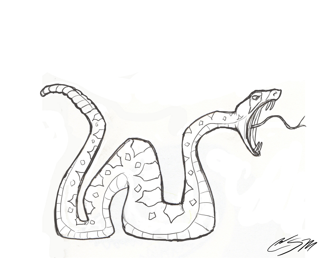 Rattlesnake Drawing - Gallery